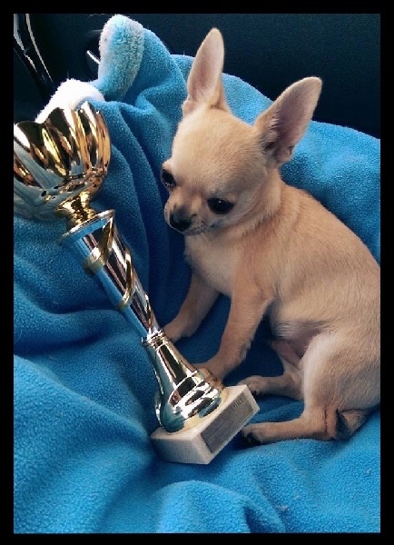 Lover dose of Alixora Blue - Classe Baby - Très Prometteur