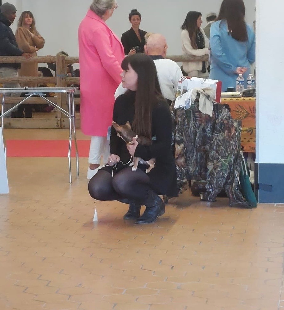 Tamia sibiricus Des Petits Coeurs De Pirate - Classe Jeune - 2ème Très bon + Confirmation