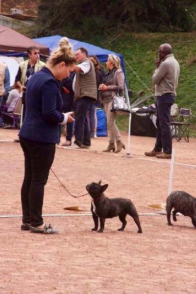 Justine tite goutte Of Heart Eaters - 3ème très bon classe intermediaire + Confirmation