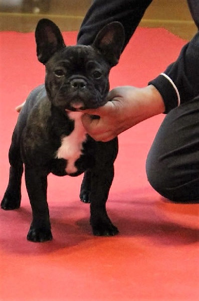 Justine tite goutte Of Heart Eaters - Assez prometteur classe baby