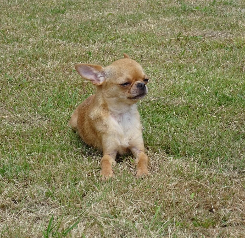 Publication : (Sans Affixe)