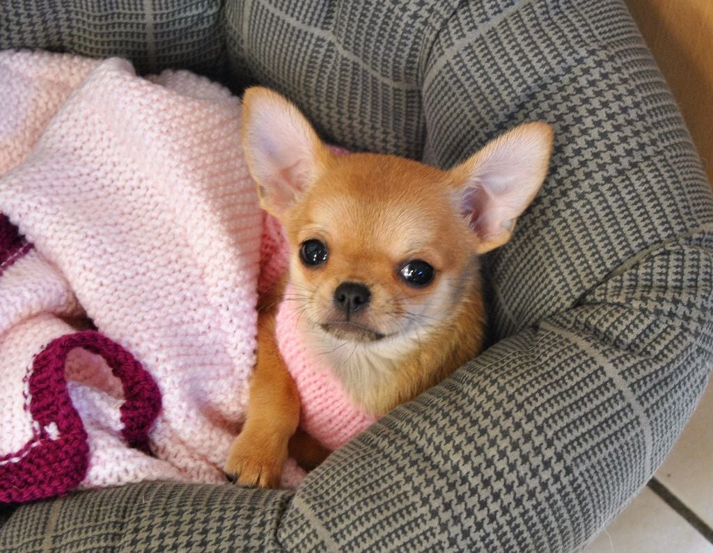 Publication : (Sans Affixe)