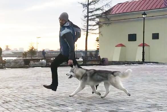 Publication : Fablehaven