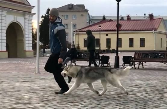 Publication : Fablehaven