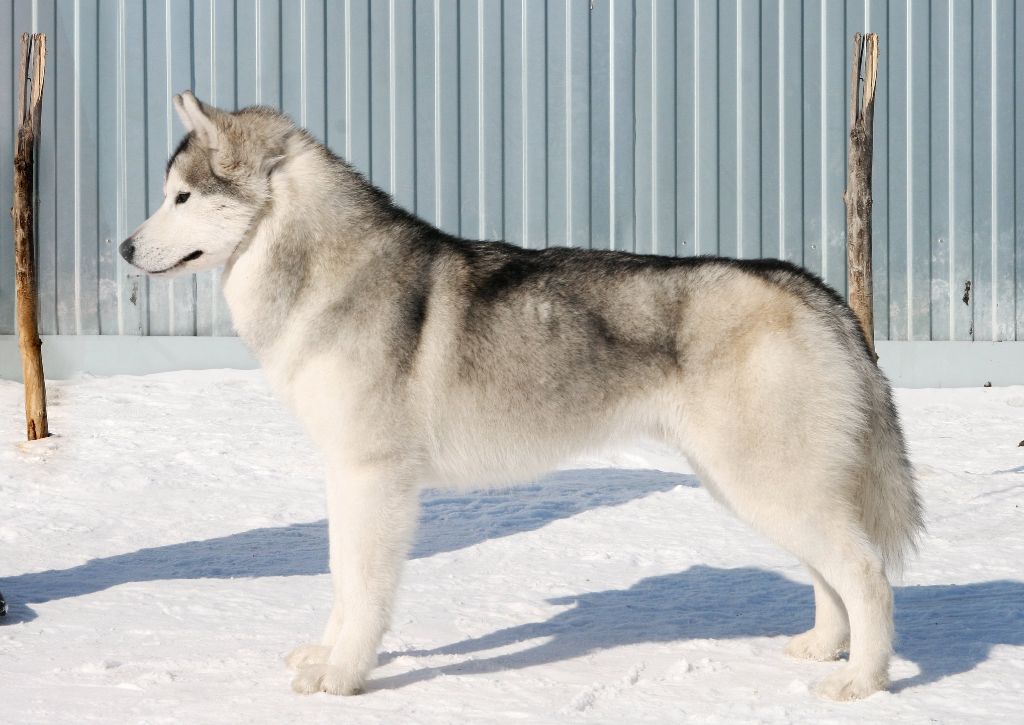 Publication : Fablehaven