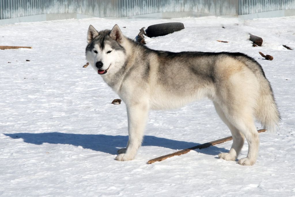 Publication : Fablehaven