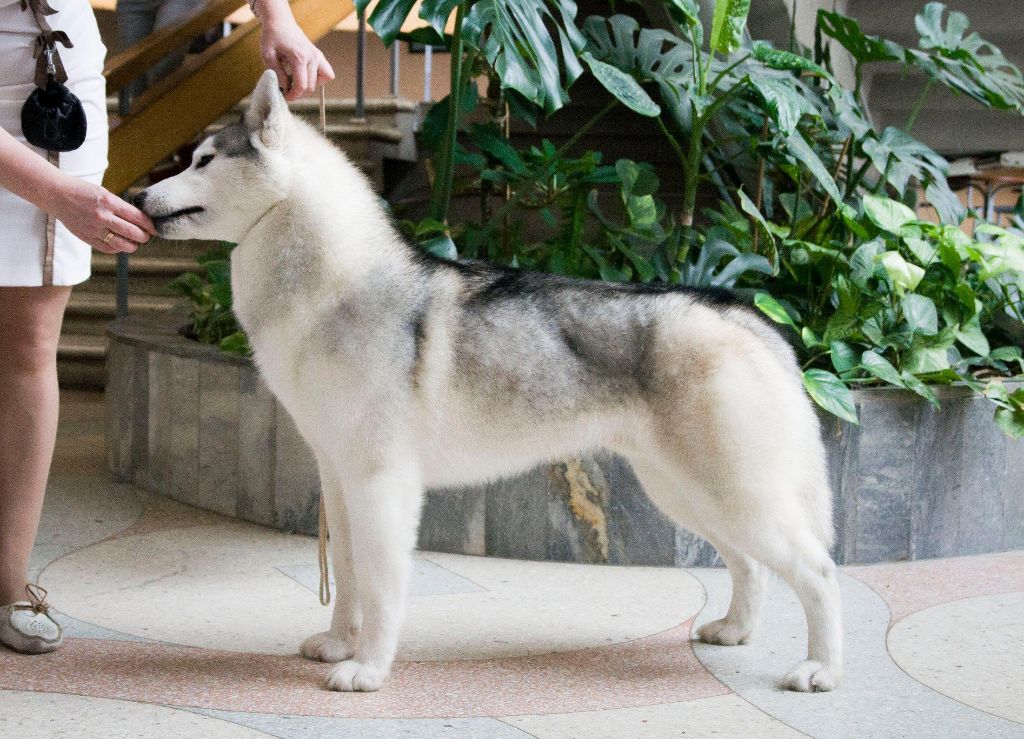 Publication : Fablehaven