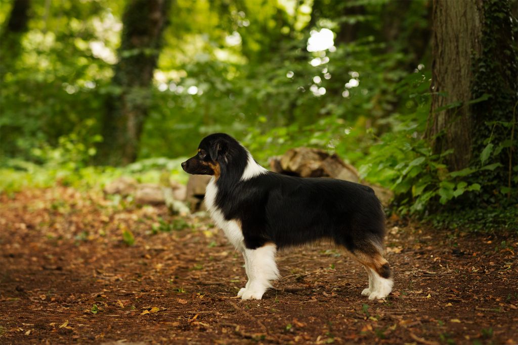 Endless Original Unchained black power