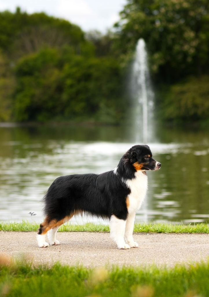 Endless Original Unchained black power