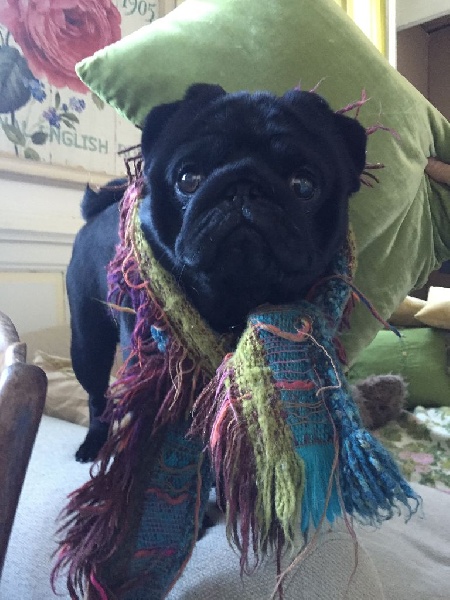 Joe-pop Des Petits Guerriers Tang - 3 éme EXCELLENT