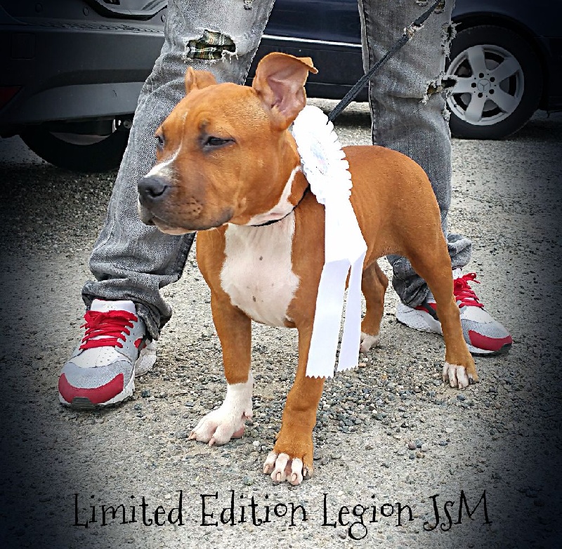 Limited edition dit ladea Legion of JSM
