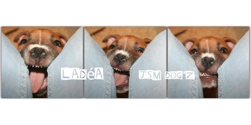 Limited edition dit ladea Legion of JSM