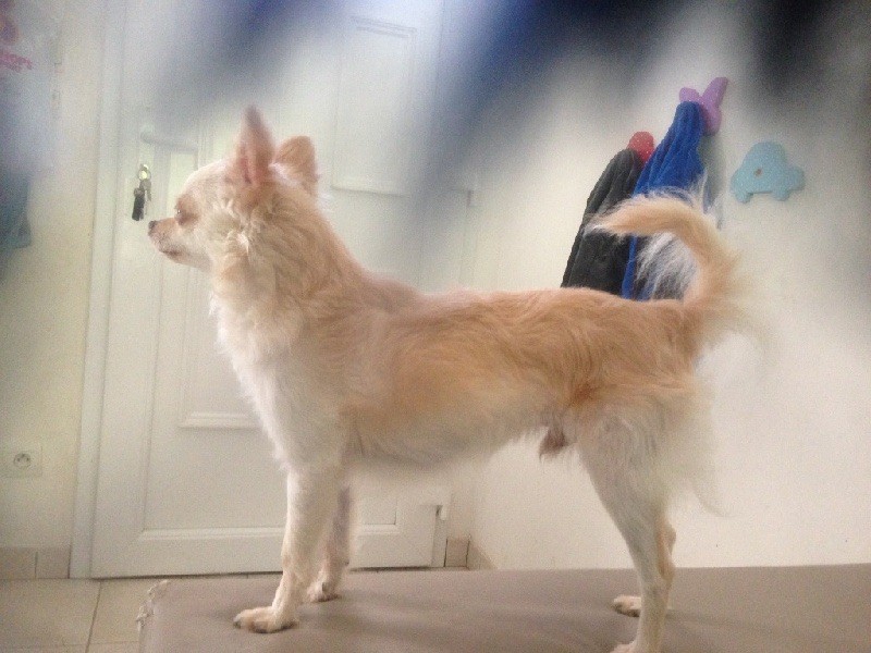 Publication : de la Tribu des Yoruba Auteur : de la tribu des Yoruba