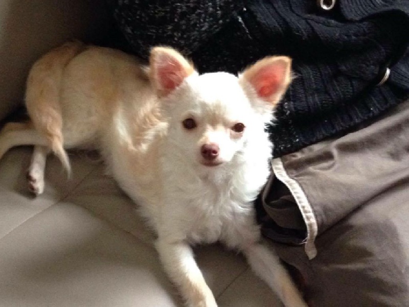 Publication : de la Tribu des Yoruba Auteur : de la tribu des Yoruba