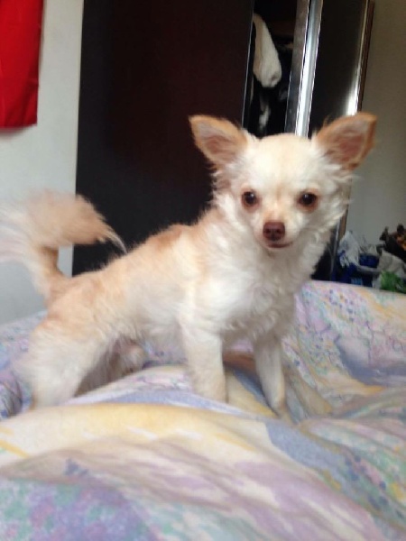 Publication : de la Tribu des Yoruba Auteur : de la tribu des Yoruba