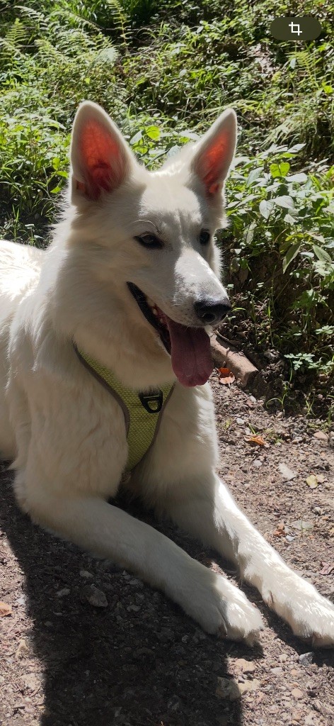 Saturday night fever du Domaine Des Pertins