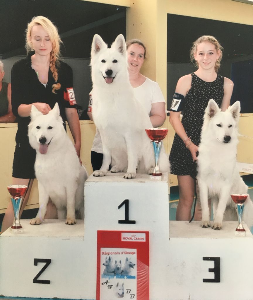 Lovely maya Des Murmures De Wolfenne - 3ème Excellent Classe Ouverte Femelle