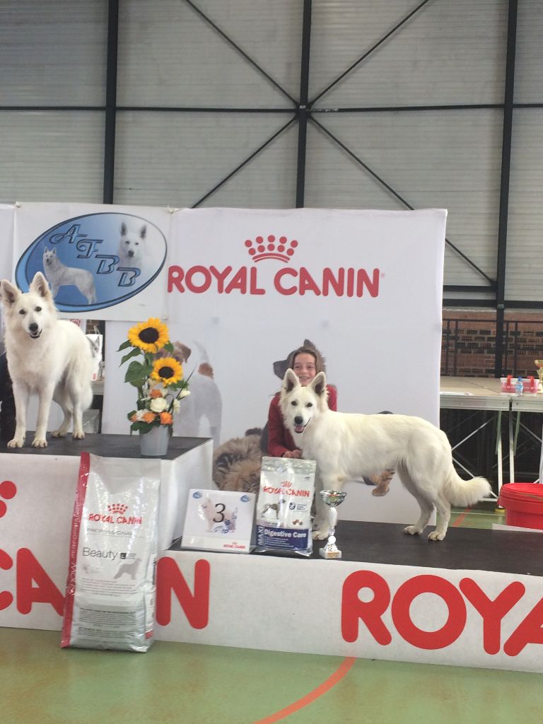 Lovely maya Des Murmures De Wolfenne - 3ème Très Bon classe Intermédiaire