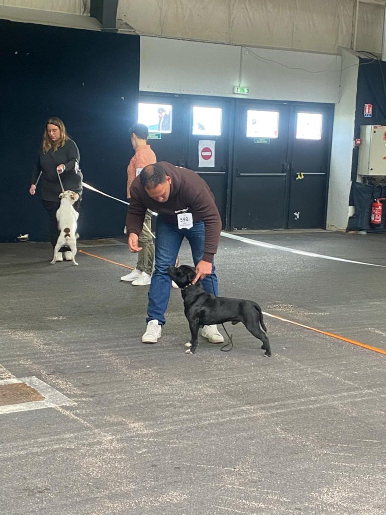 Wesley du Domaine de Poudlard