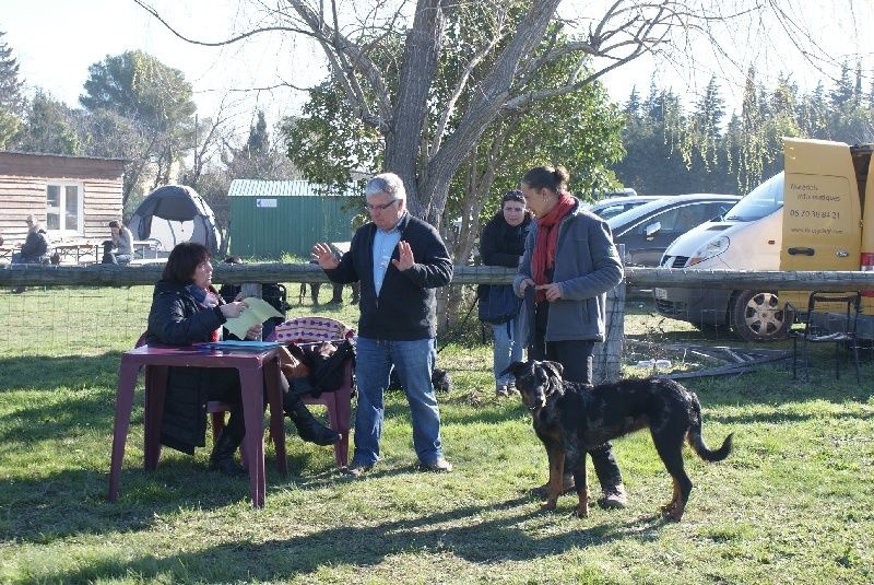 Isidore bleu des templiers de montfort - 2ème, classe débutant