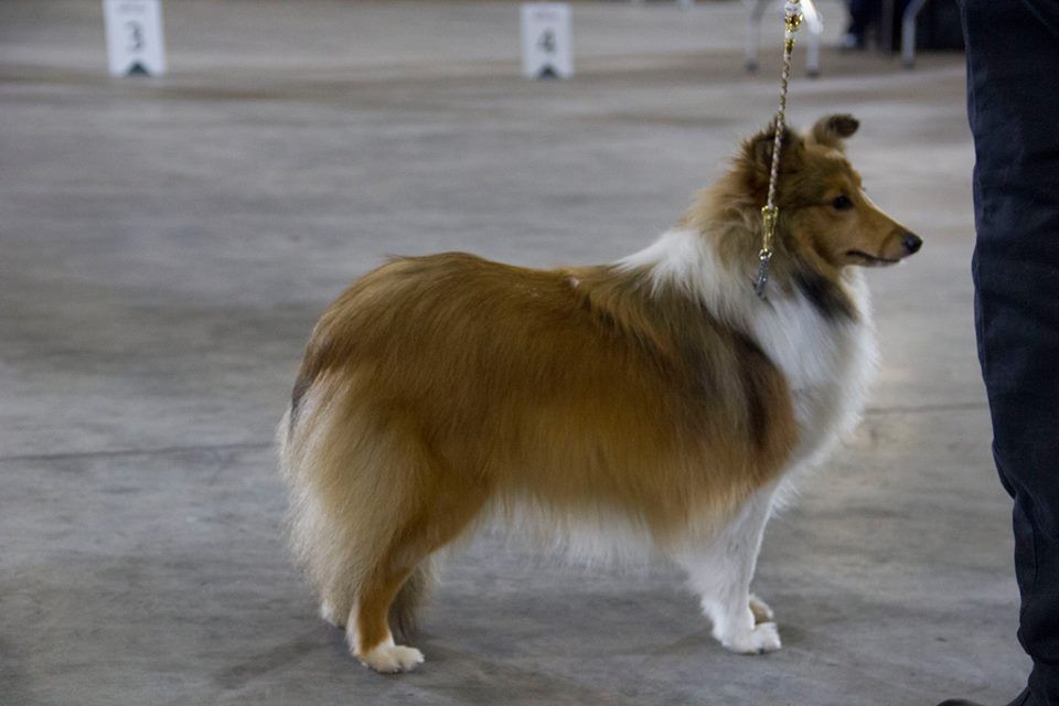 kotomin's Born to be pretty woman - 4ème excellent