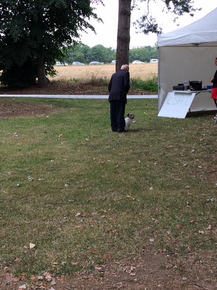 Guizmo (Sans Affixe) - CSAU