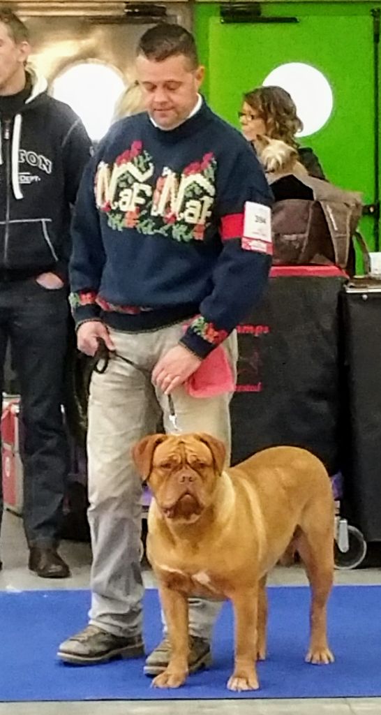 Lova De La Forêt Des Deesses - 2ème Excellente Classe Jeune Femelle