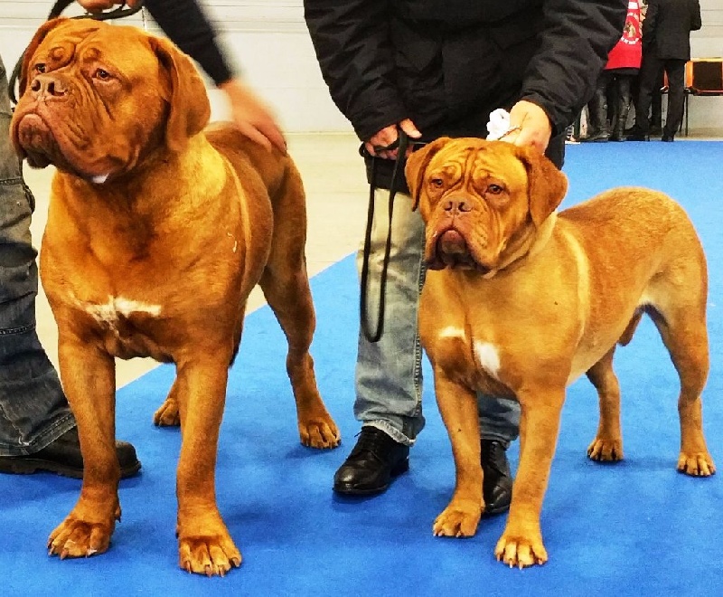 Lova De La Forêt Des Deesses - 1ère EXCELLENTE