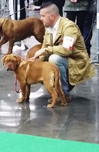 Lova De La Forêt Des Deesses - TRES PROMETTEUR