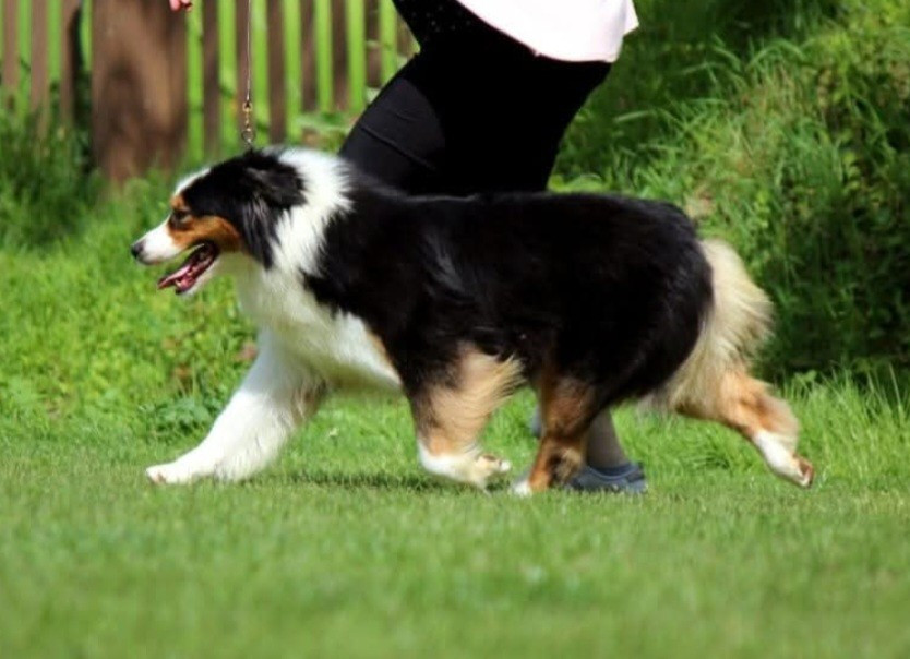 Never Give Up Your Dreams So pretty