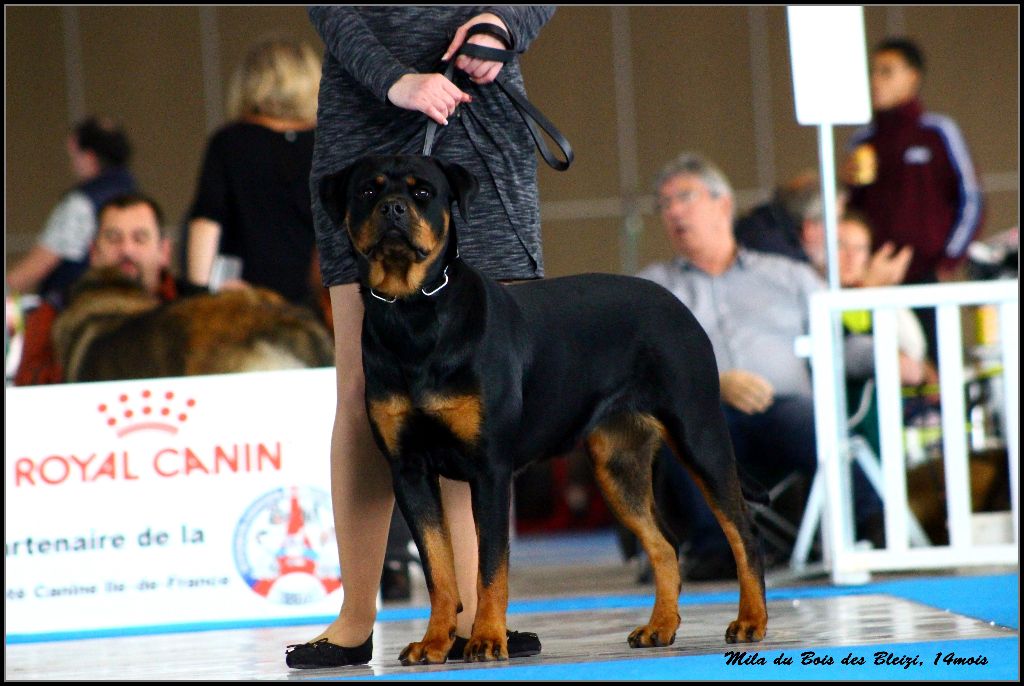 Mila Du Bois Des Bleizi - 3ème EXCELLENT ( classe Jeune )