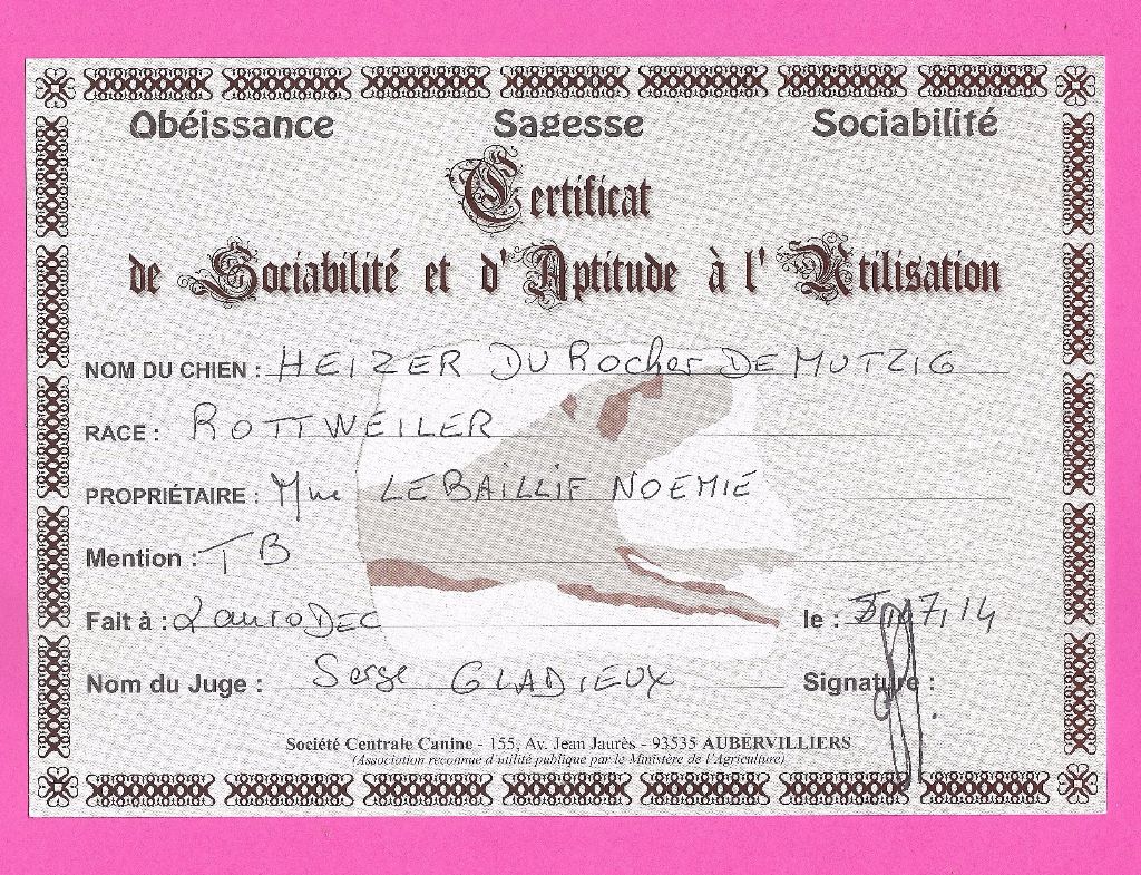 Heizer du rocher de Mutzig - CSAU ( certificat de sociabilité et d'aptitude à l'utilisation )