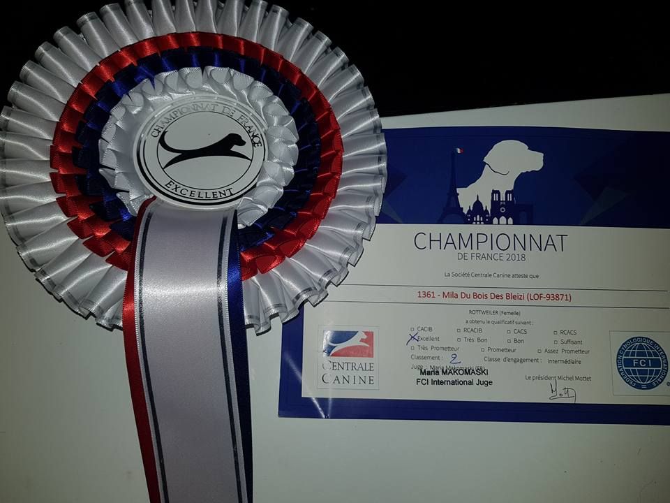 Mila Du Bois Des Bleizi - 2ème Excellent (Championnat de France, classe Intermédiaire )