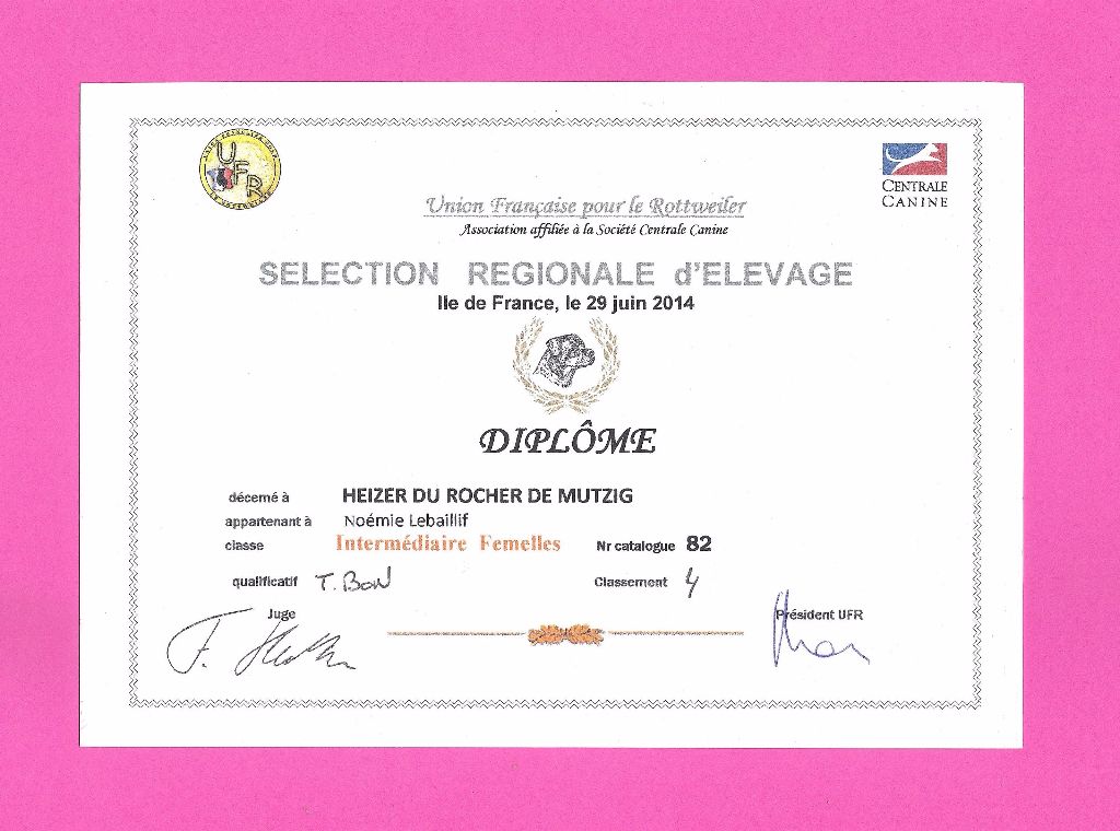 Heizer du rocher de Mutzig - 4ème TRÈS BON ( classe Intermédiaire )