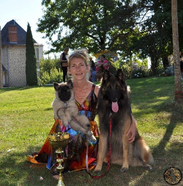 Ss. just a belieber des canis du brabant - 1er Excellent - CACS - CACIS - Meilleur de sexe opposé