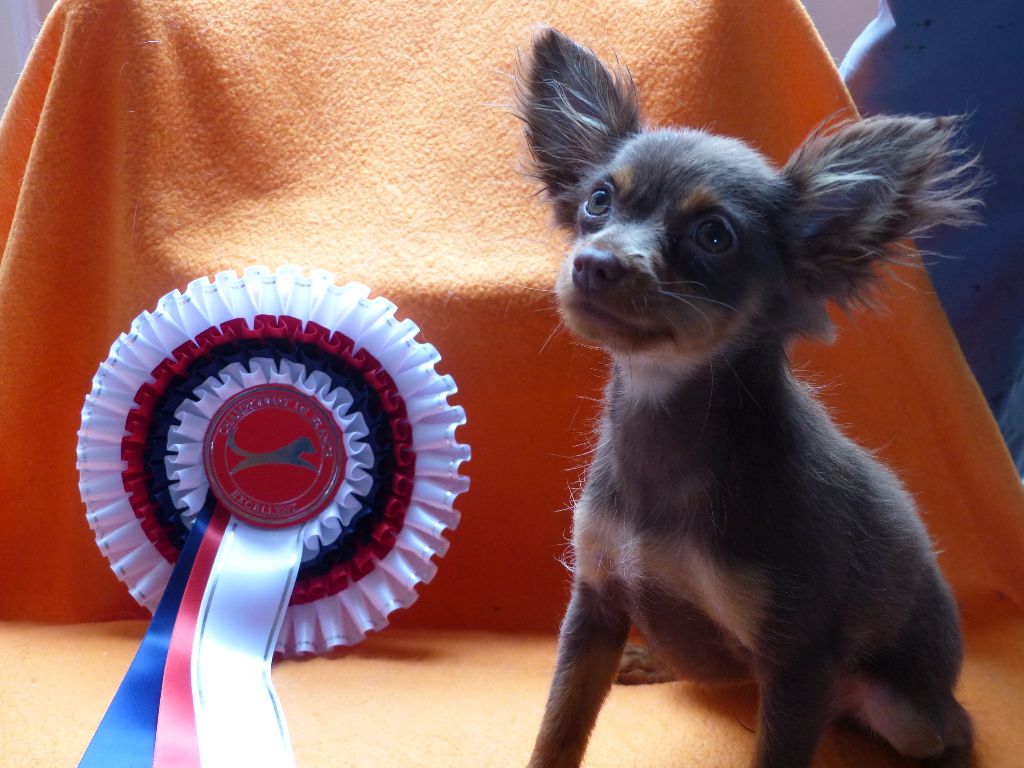 Nymphea of love Des Elflines De Gaelic - Très prometteur - BOB baby