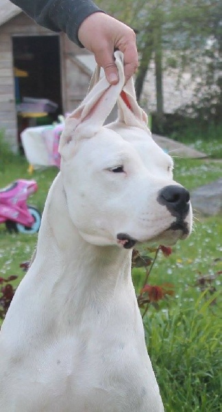 Publication : De Valsion Catere