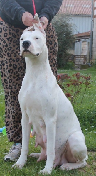 Publication : De Valsion Catere