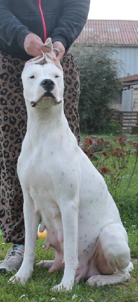 Publication : De Valsion Catere