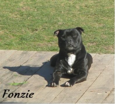 Fonzie (Sans Affixe)