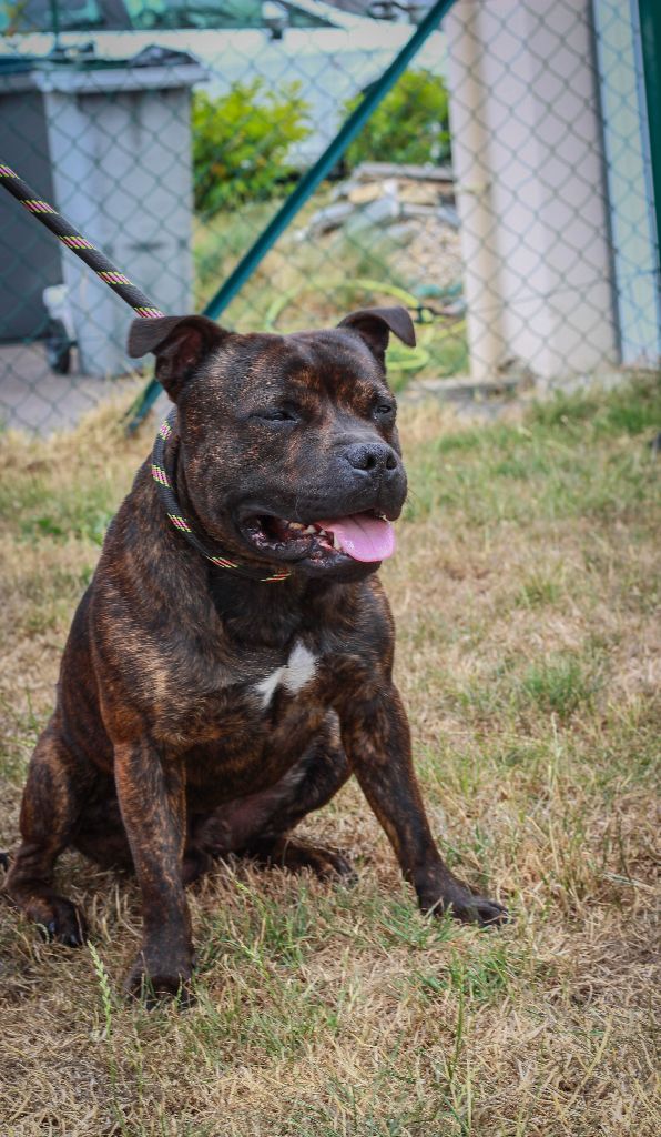 Love Is Blind Near wild heaven