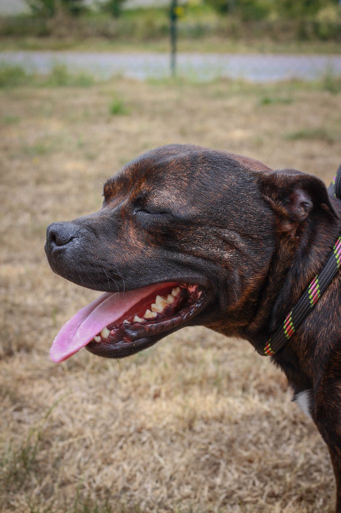 Love Is Blind Near wild heaven