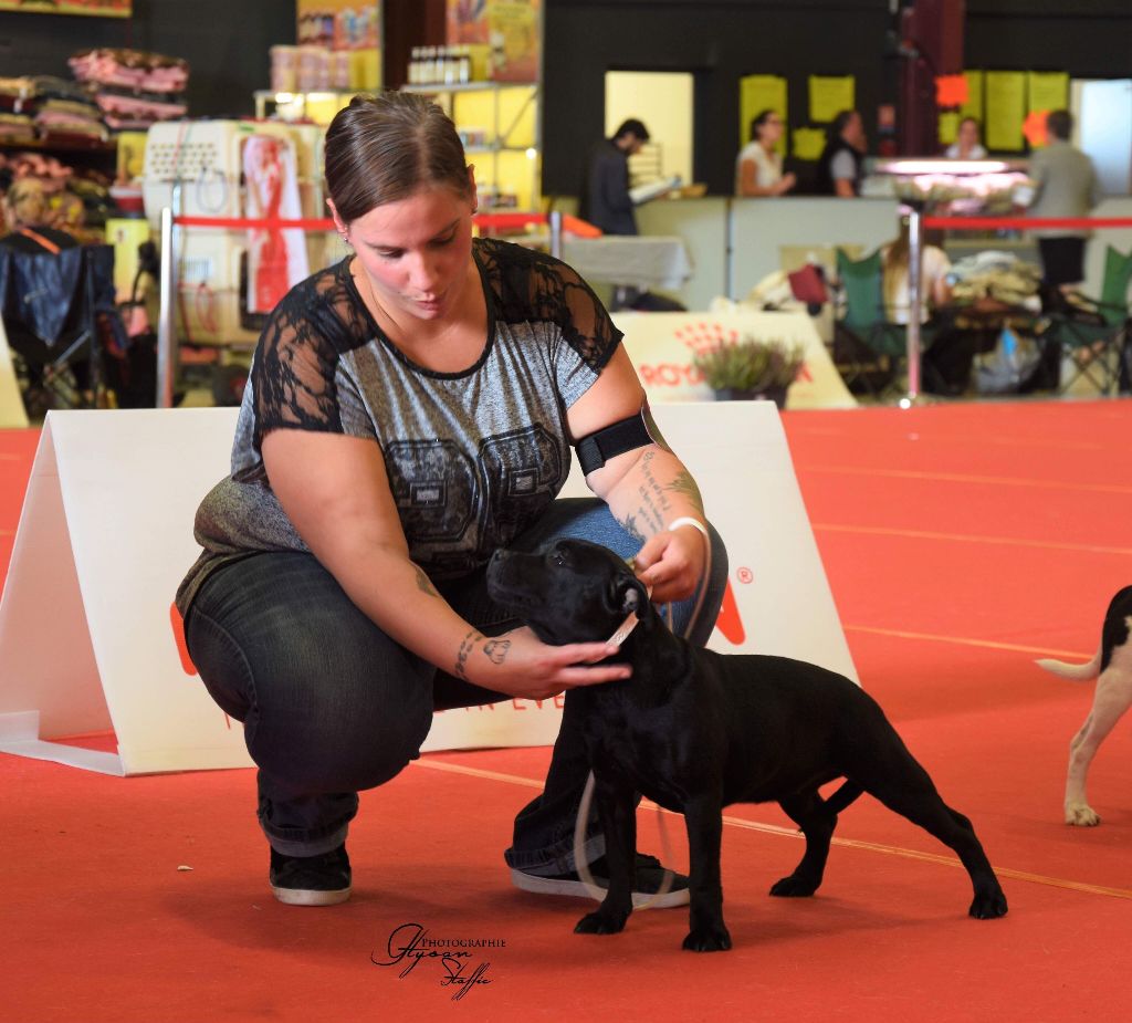 Love Is Blind Only you - 2ème excellent classe jeune + confirmation