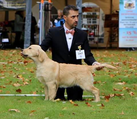 Publication : Cheek to Cheek