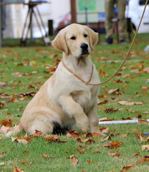 Publication : Cheek to Cheek