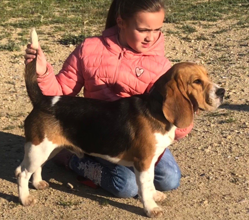 Publication : Des Hauts De Milhac