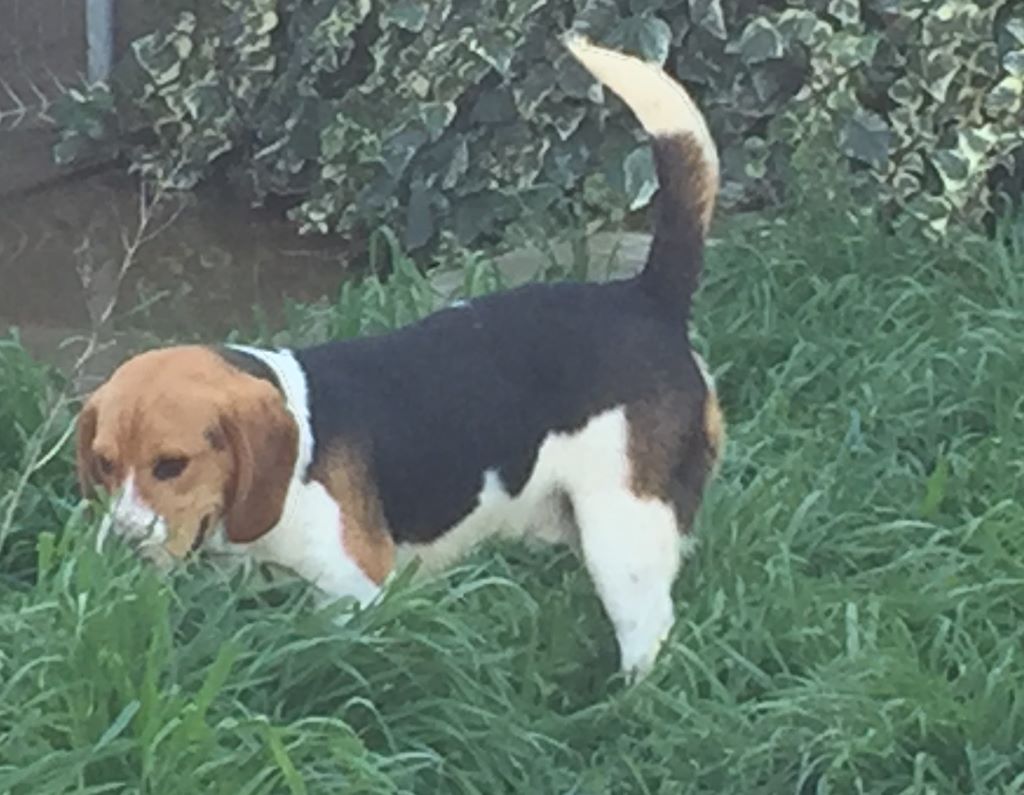 Publication : Des Hauts De Milhac