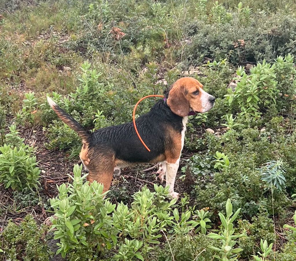 Publication : Des Hauts De Milhac