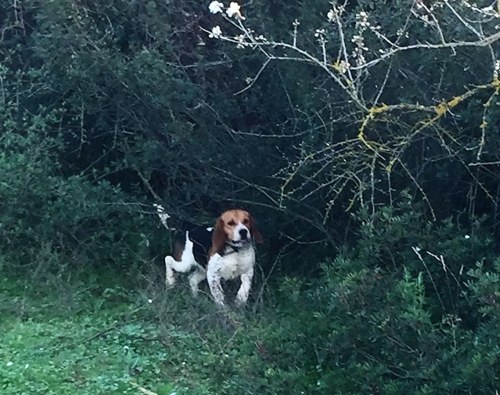 Publication : Des Hauts De Milhac