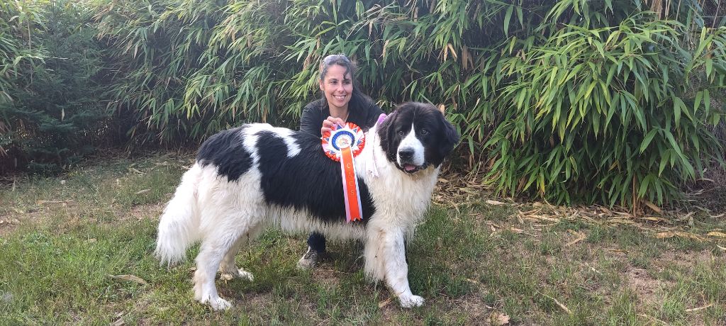 CH. Neyka De La Tribu Landka - 1 ere excellente CACS - MEILLEUR DE RACE (BOB)